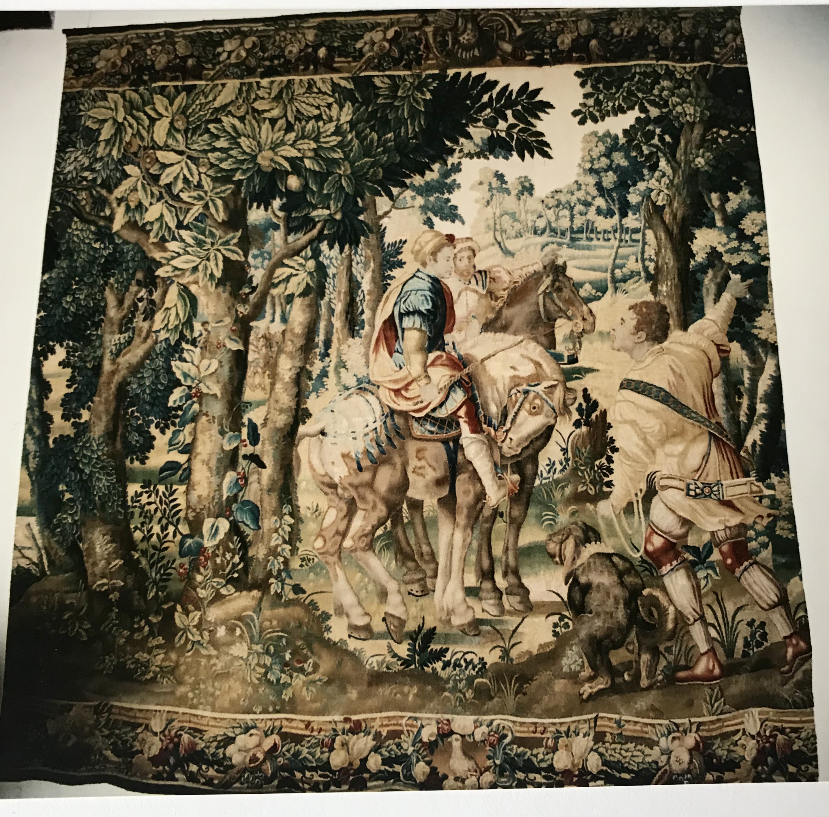 mnr/OAR00058/OAR 58 c cliché Malgouyres 2004.jpeg